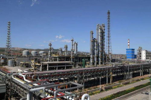 平煤神馬集團(tuán)尼龍科技二期己內(nèi)酰胺項(xiàng)目成功投料試車，年產(chǎn)20萬噸助力倉(cāng)儲(chǔ)業(yè)升級(jí)